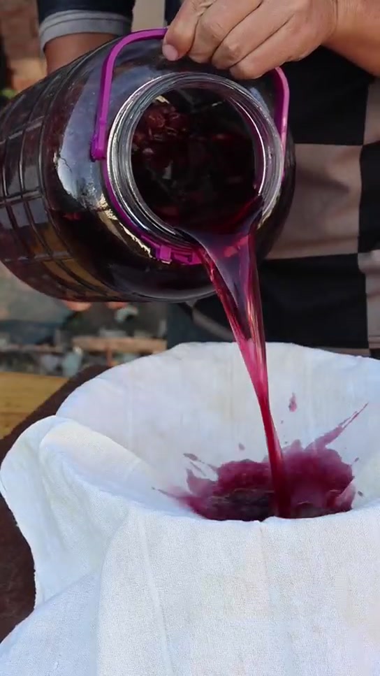 葡萄迎来丰收摘一筐做葡萄酒