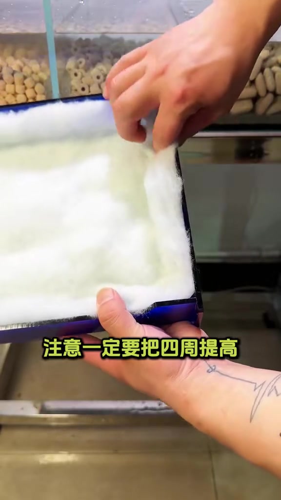 一体式底滤缸开缸了,养的20多条金帆王子!开缸的详细过程给大家做个参考!底滤缸 开缸教程 