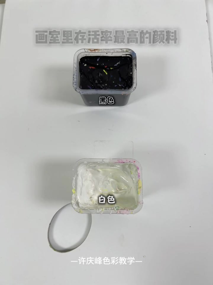 美术生的日常 美术生的日常 美术生 画画 水粉静物