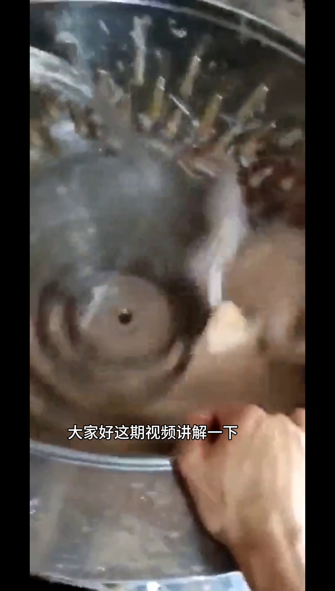 全自动家禽脱毛机鸡鸭鹅脱毛机全自动鸡鸭鹅通用脱毛机