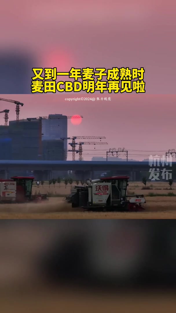 杭州“麦田CBD”火爆出圈,唤醒的不只是乡愁