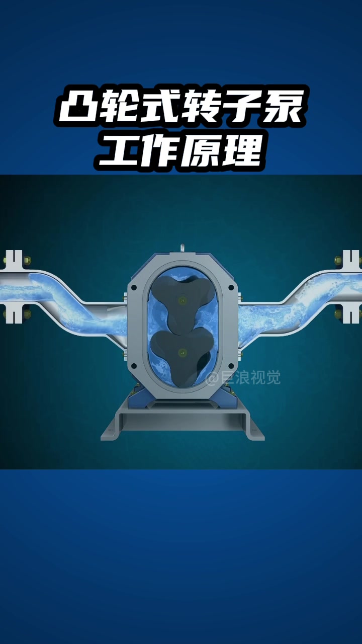 凸轮转子泵水泵工作原理三维动画
