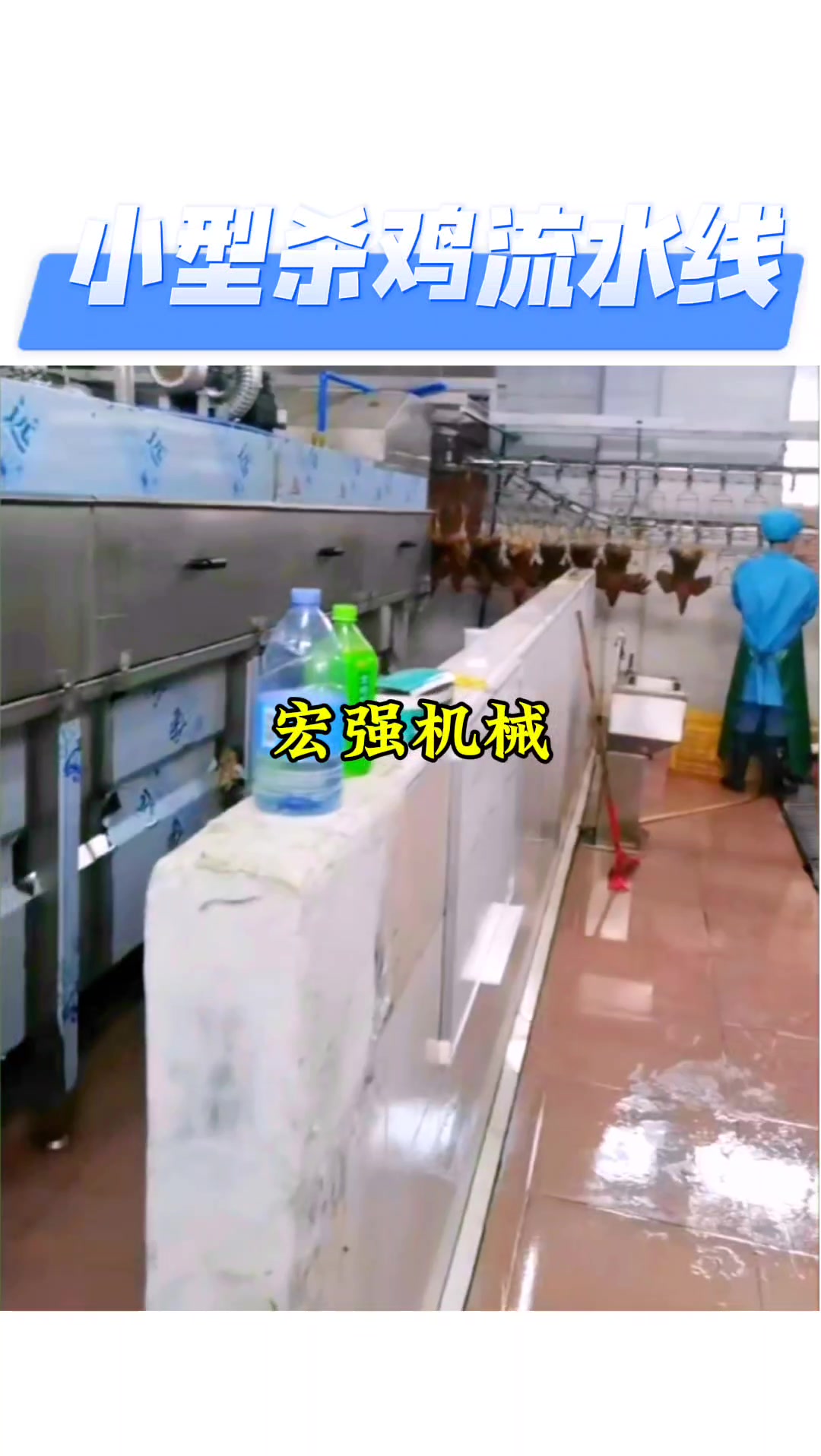小型的宰鸡流水线 全自动鸡屠宰加工设备