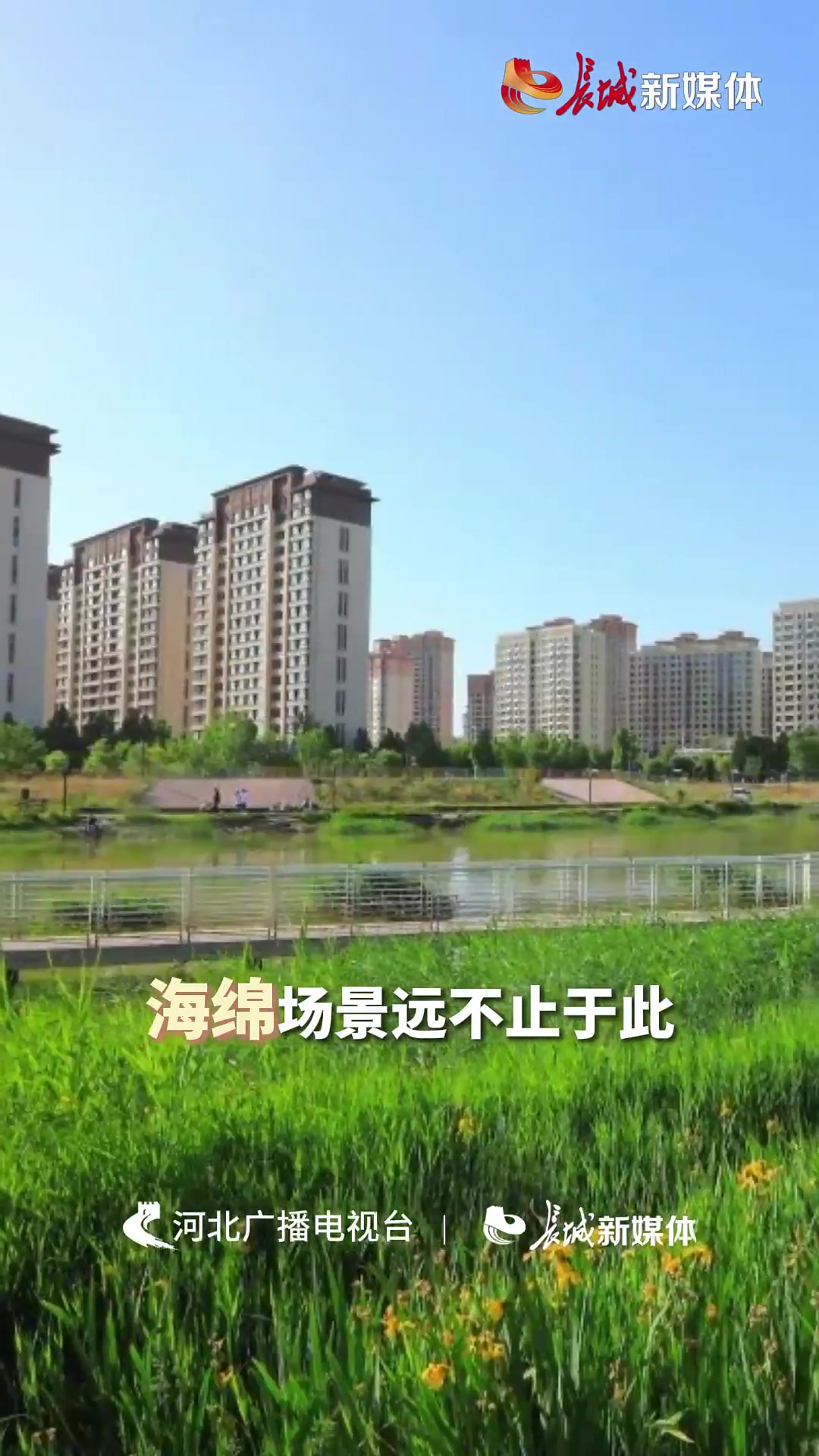 百姓看联播丨“海绵宝宝”初长成
