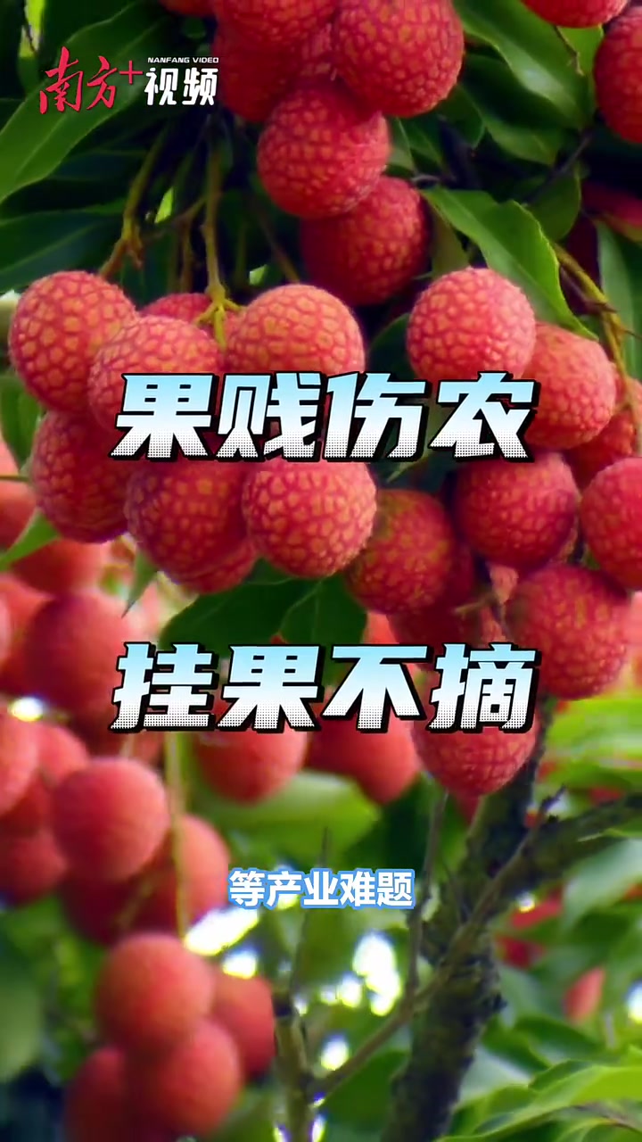 “水果自由”技术,为你冻住一口广东鲜甜丨遥遥领“新”