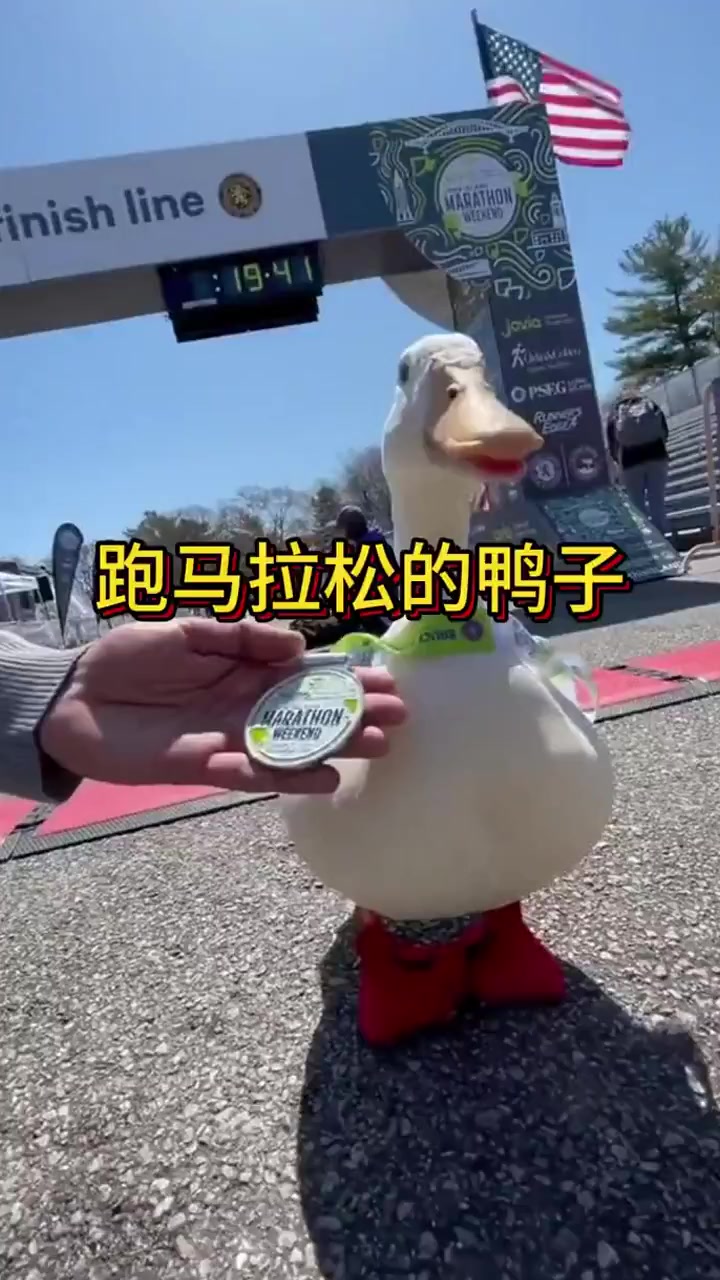 国外一只跑步很有天赋的鸭子