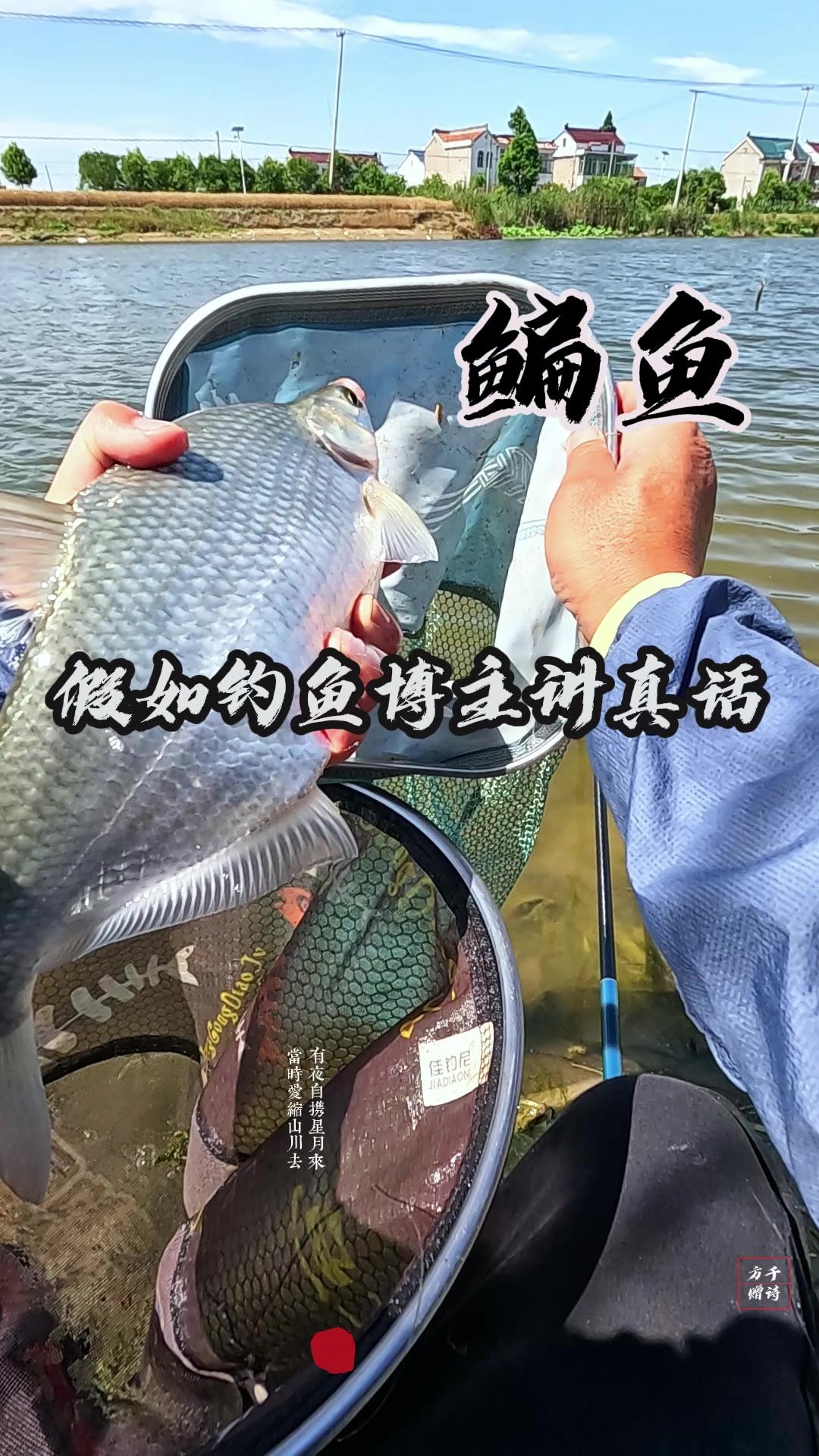 如果钓鱼博主讲真话,钓鳊鱼你得用这个试试