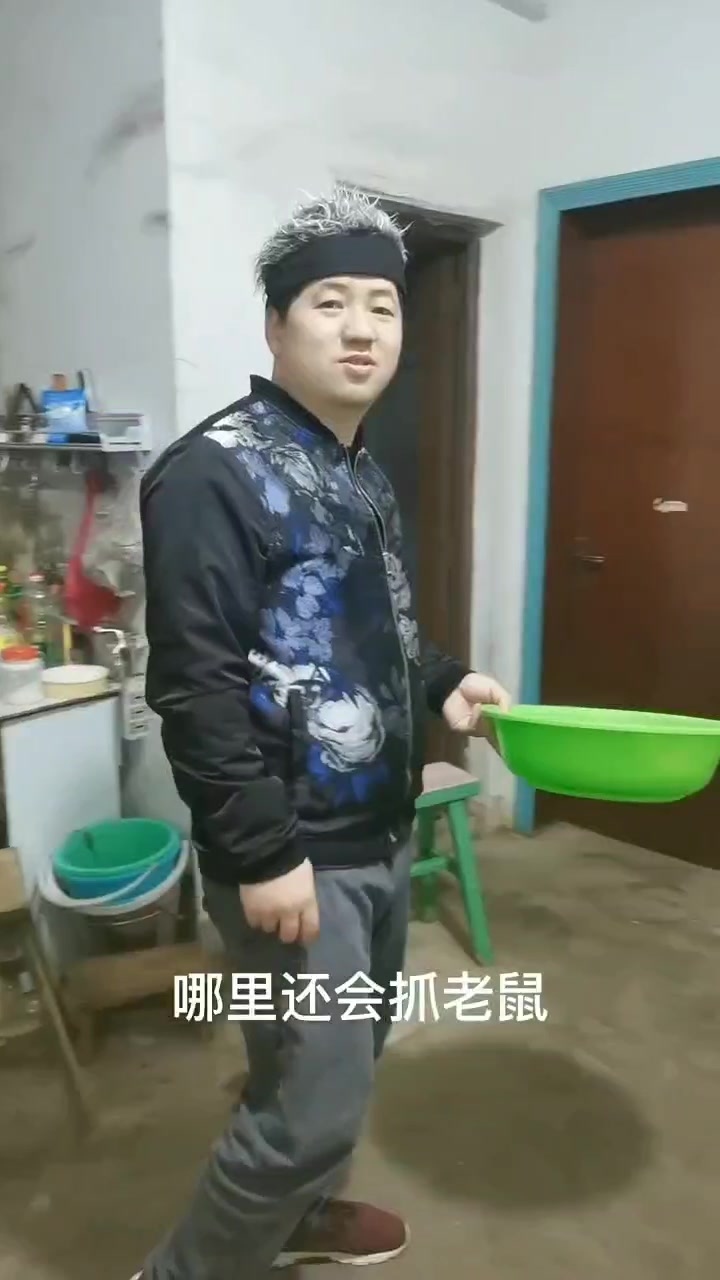 现在的猫为什么不会抓老鼠,搞笑段子,是汤姆猫和杰瑞搞笑视频吗
