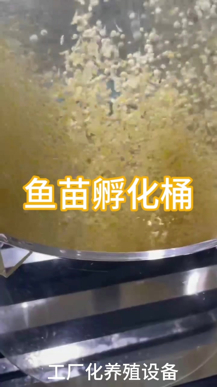 鱼苗孵化桶孵化池