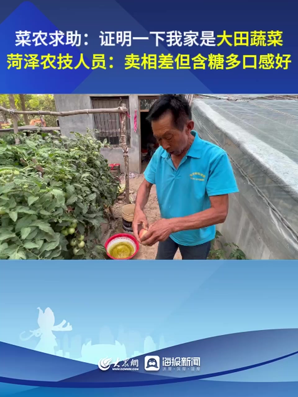 菏泽菜农自证大田蔬菜,大田蔬菜真的比大棚蔬菜好吃吗?