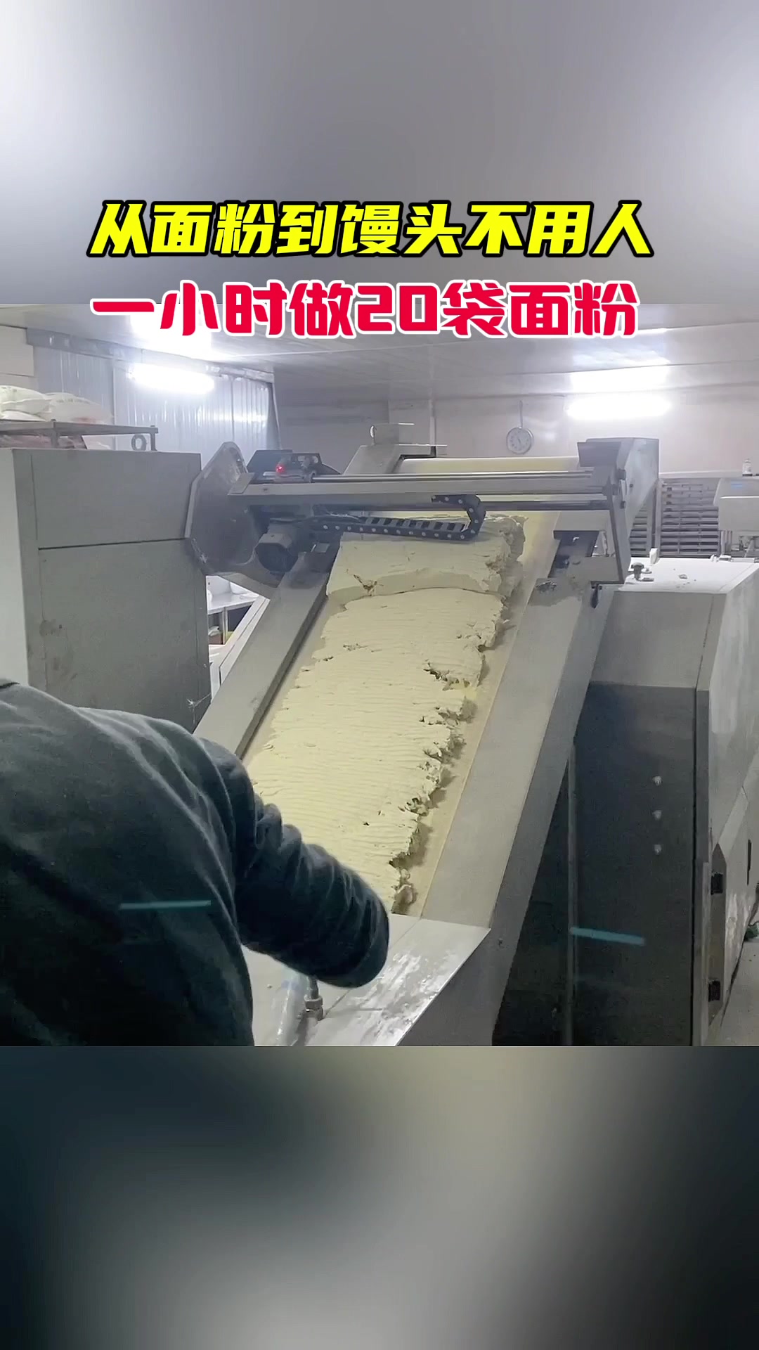 实拍安徽馒头厂老面馒头生产真实场景