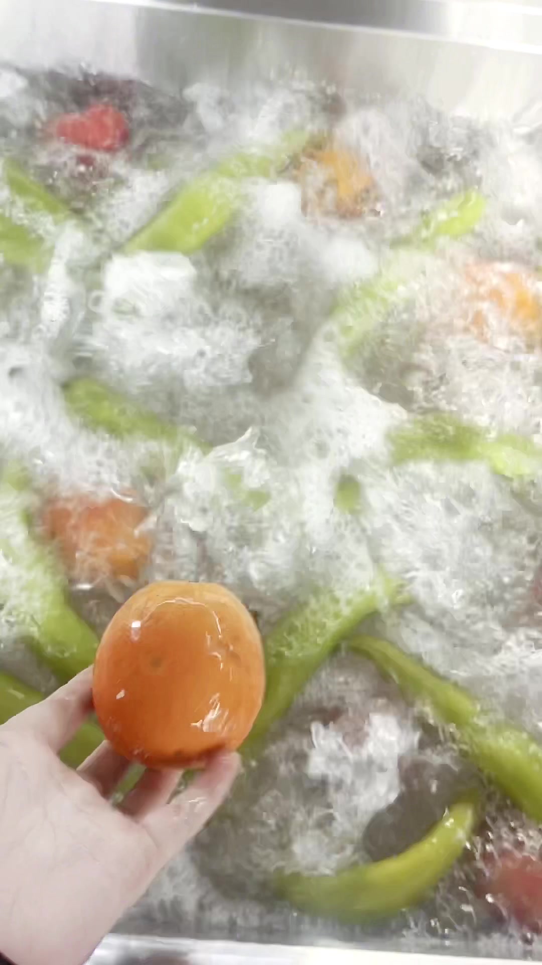 小型多功能洗菜机商用蔬菜清洗机酒店食堂用洗菜设备