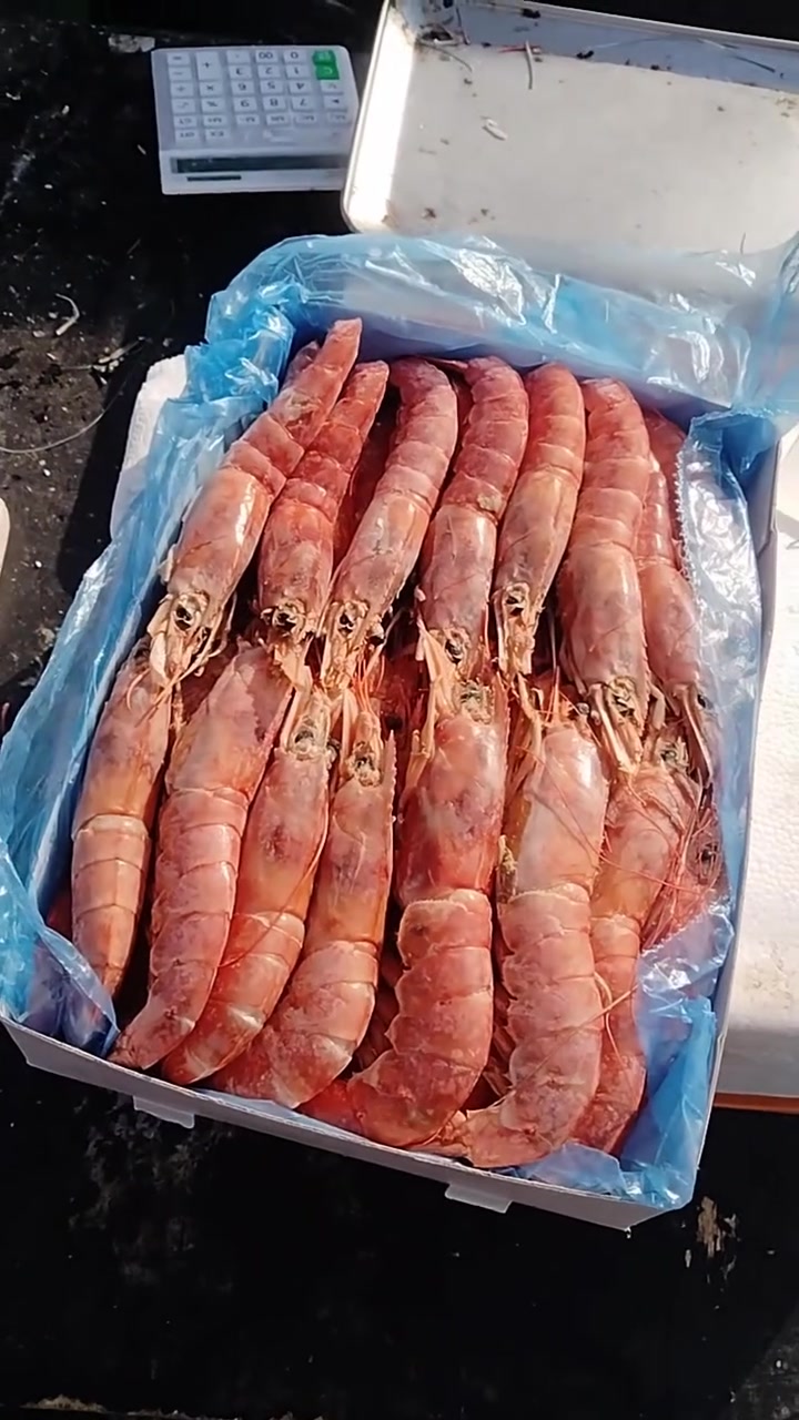 新年菜价走势如何?土豆哥天天早市直播沈阳早市每日菜价!2024年1月31日东北沈阳早市节前