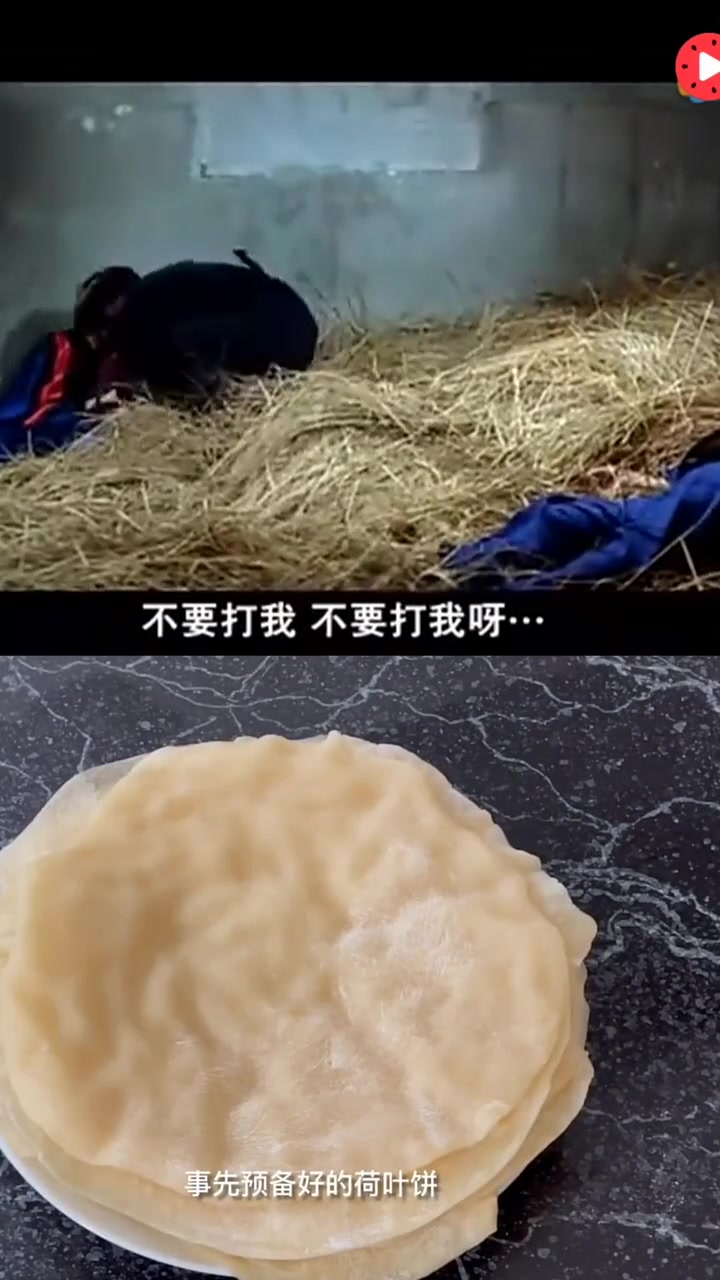 第9集|洪金宝大口吃烤鸭,看饿了 我的里程碑 每日打卡领流量卷