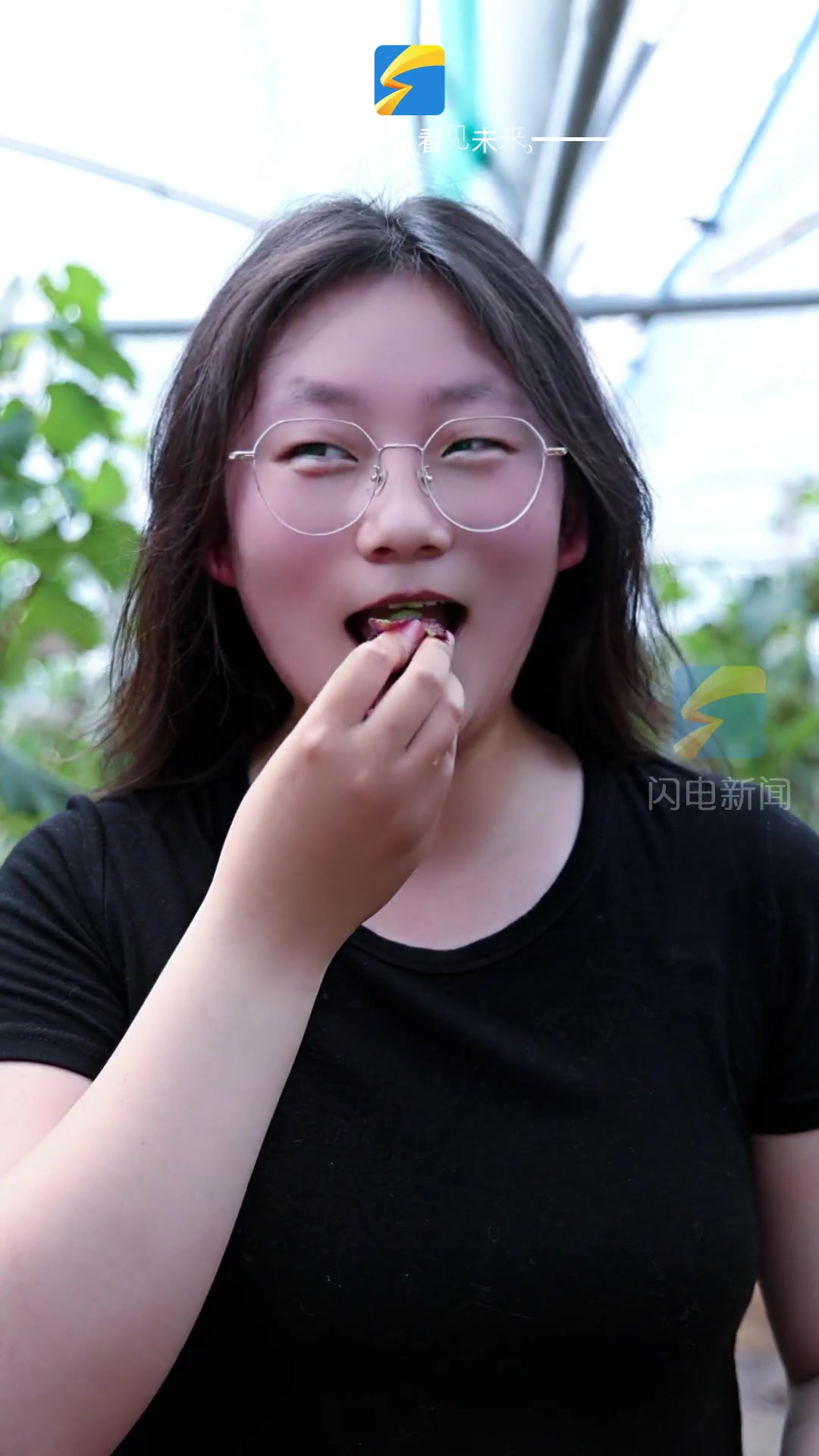 兰陵:硕果满枝头 葡萄甜如蜜