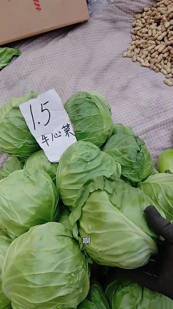 东北早市土豆哥揭秘:早市大头菜挑选大法,让你一次买对好吃的大头菜,避免踩坑!牛心菜!薄皮甘