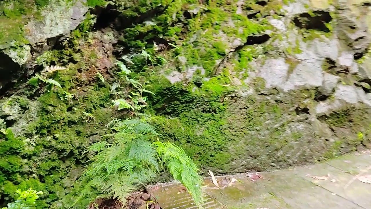 清水溪蒋介石歇轿处:黄山云岫楼距这儿不远