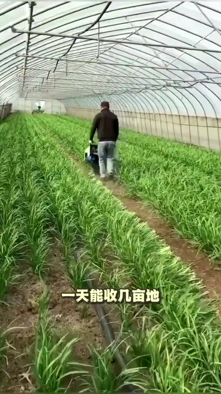 电动韭菜收割机小型
