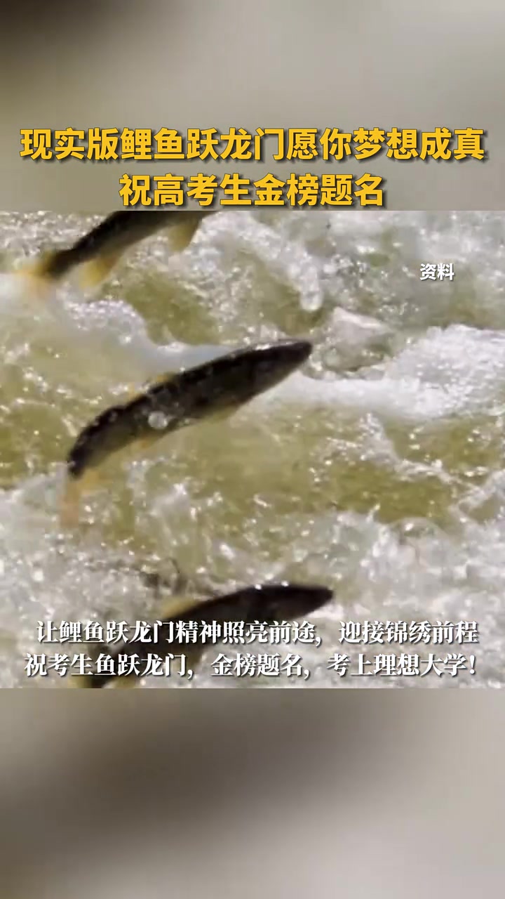 现实版鲤鱼跃龙门愿你梦想成真,祝高考生金榜题名,考上理想大学!