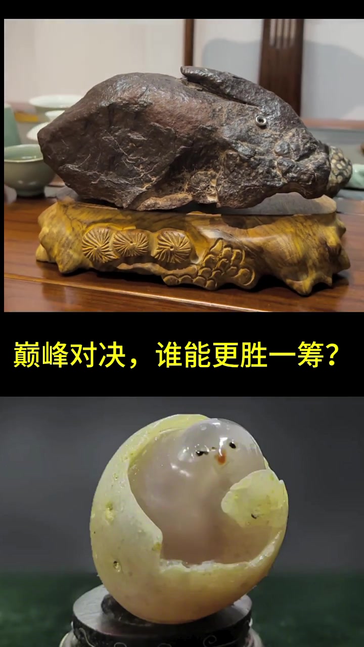 “陨石兔子”和“奇石小鸡出壳”,谁将俘获您的心?小鸡出壳 奇珍异宝 陨石 奇石
