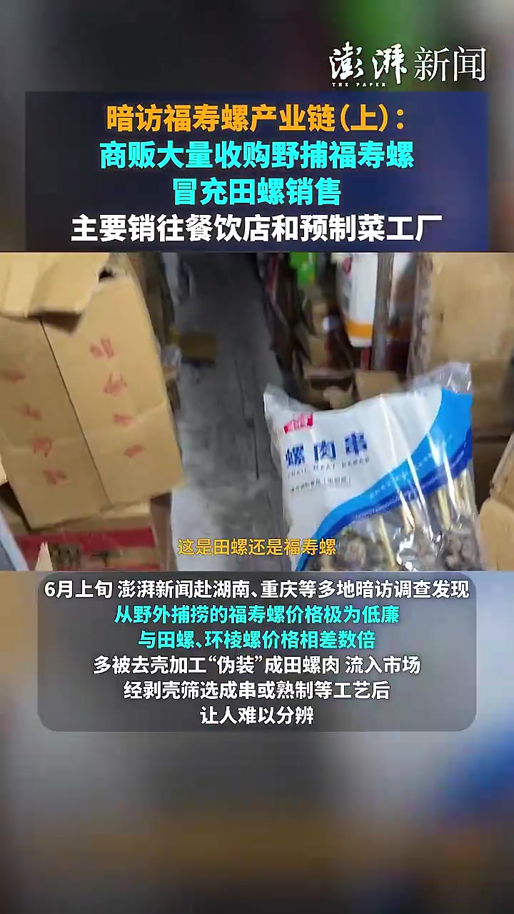 你吃的螺肉可能有风险!暗访福寿螺产业链