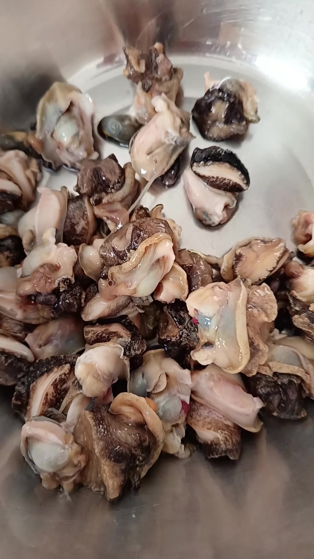 赶海的海螺吃不完怎么办?海螺芸豆馅包子安排上!大连哈仙岛大健