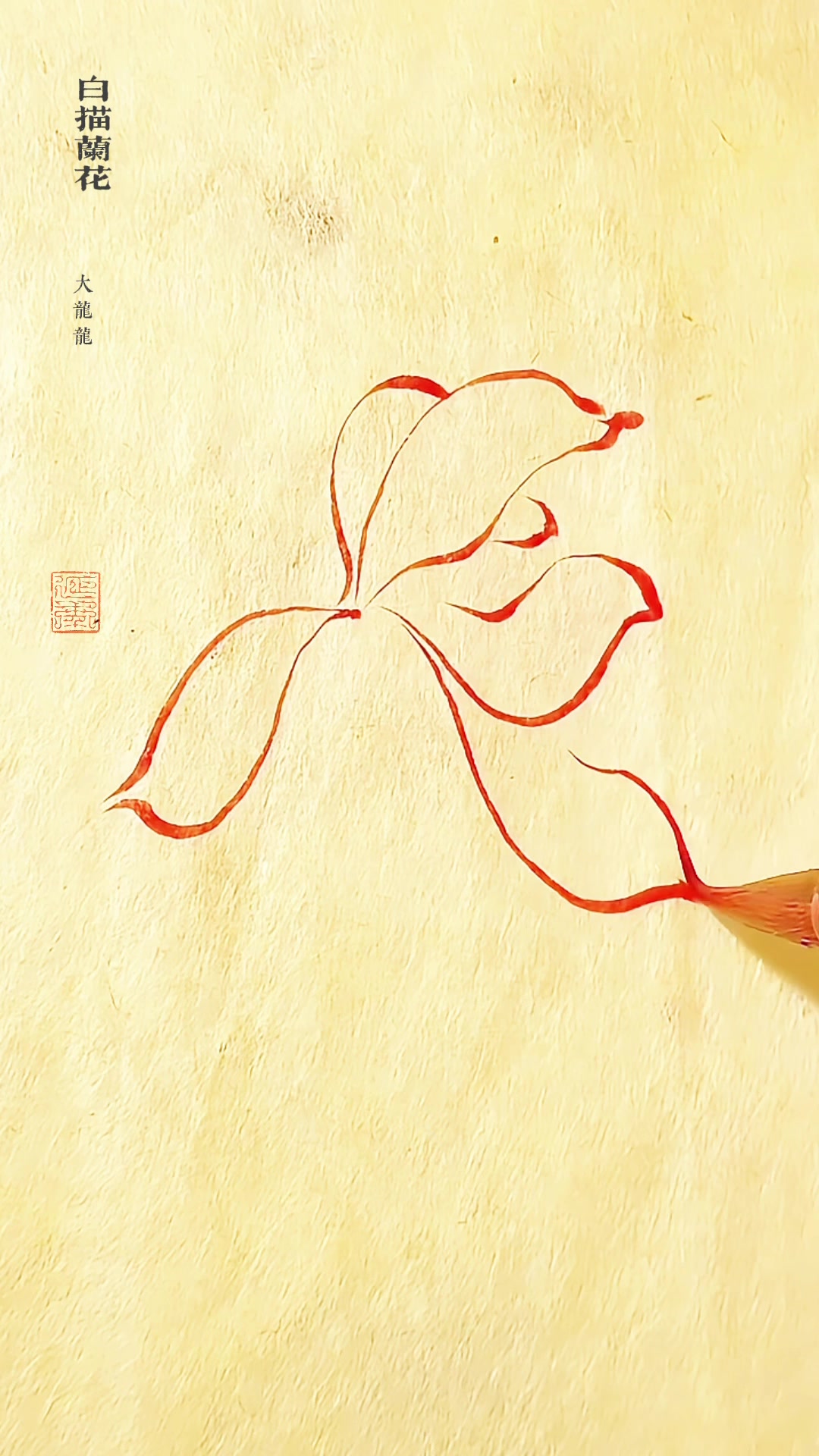 国画入门白描画兰花