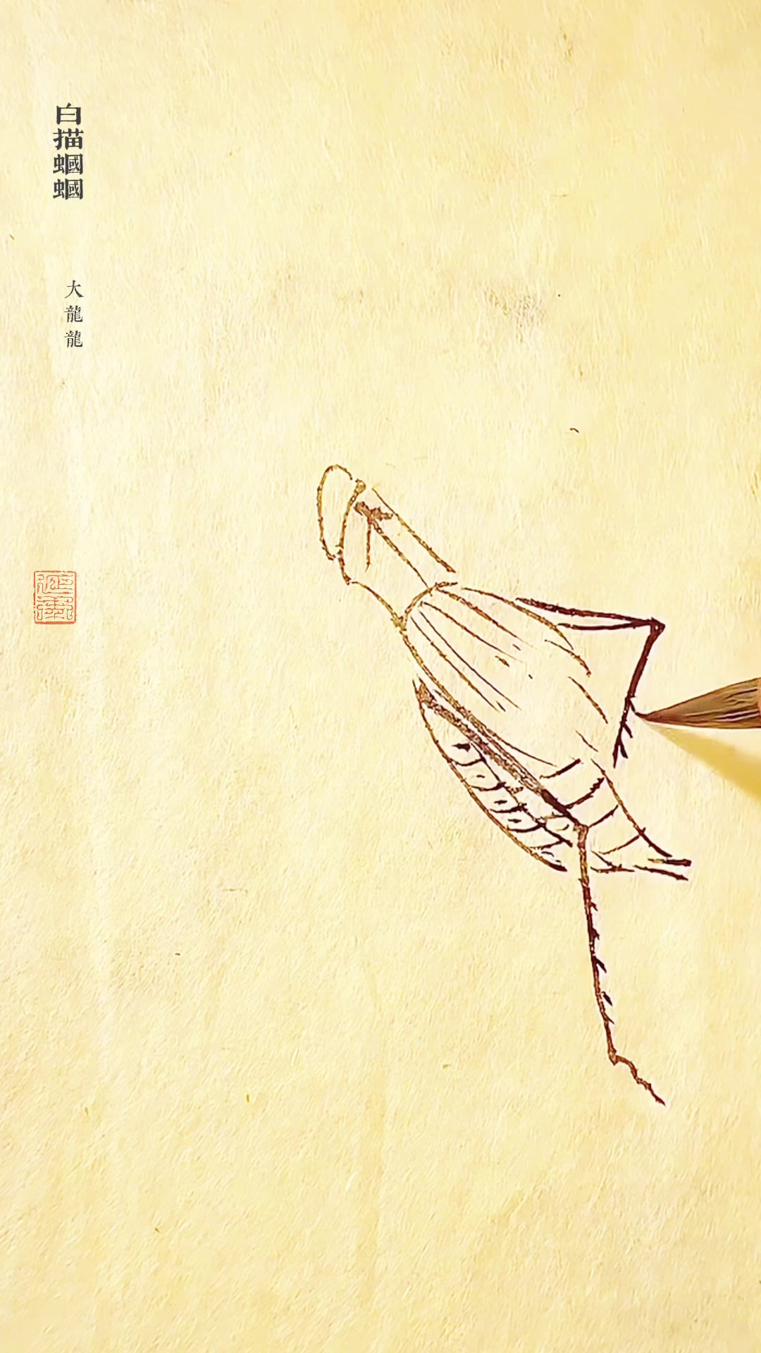 国画昆虫白描画蝈蝈