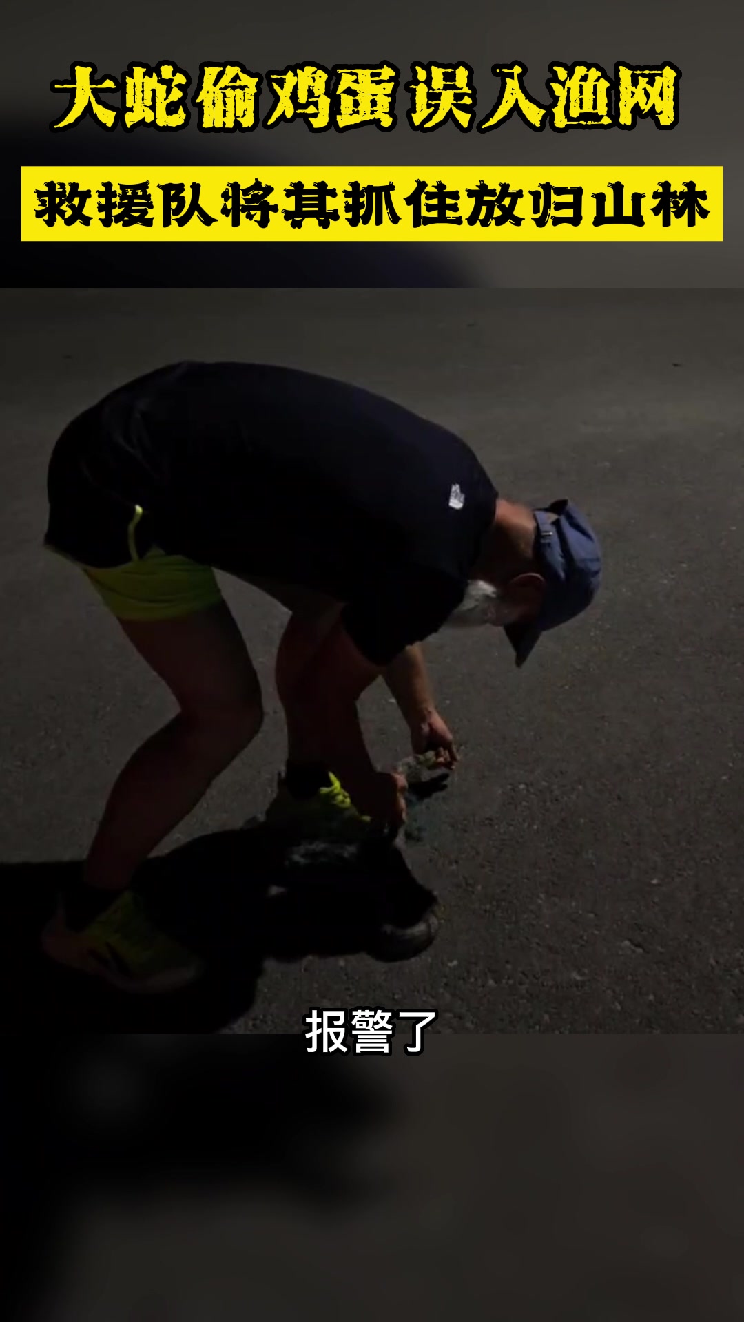 大蛇偷鸡蛋误入渔网被困,救援队及时出手抓蛇