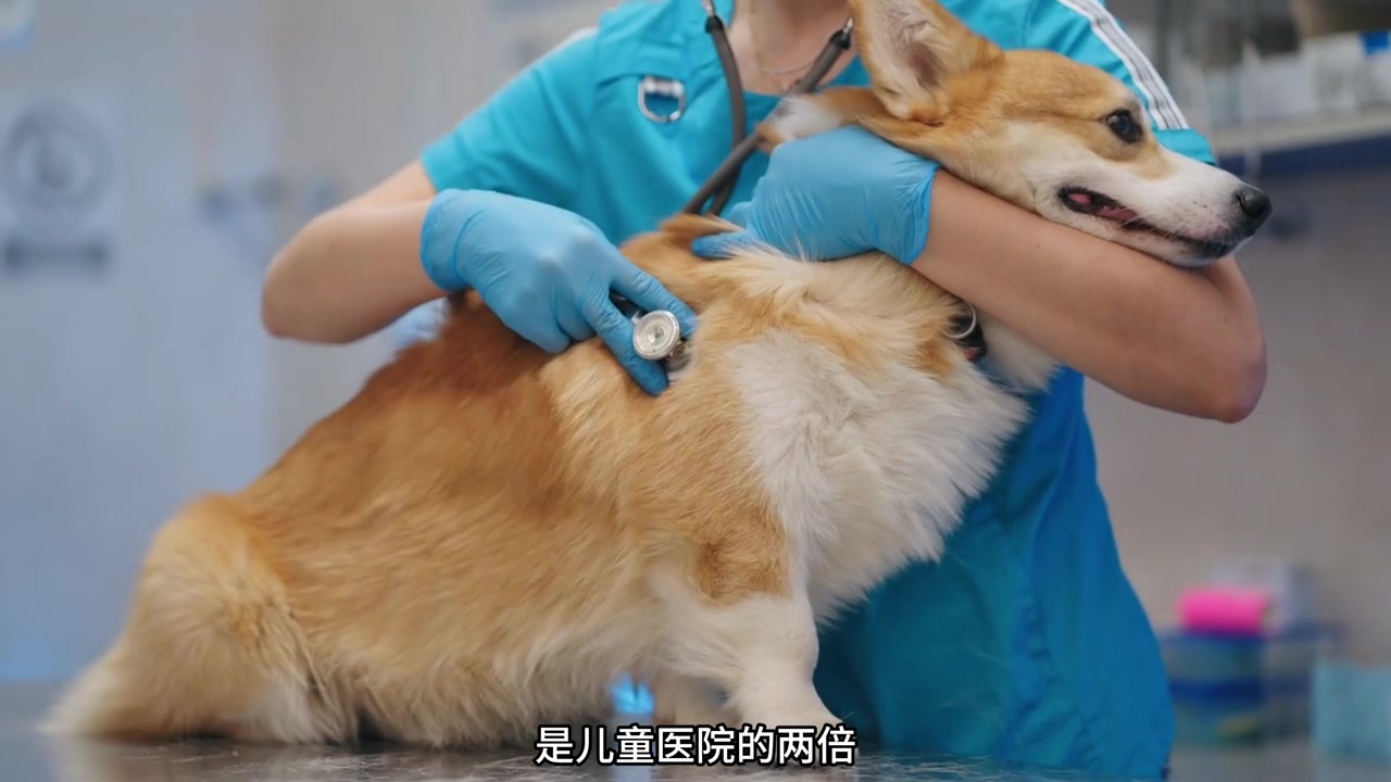 韩国离灭绝不远了,丁克总统号召大家生孩子