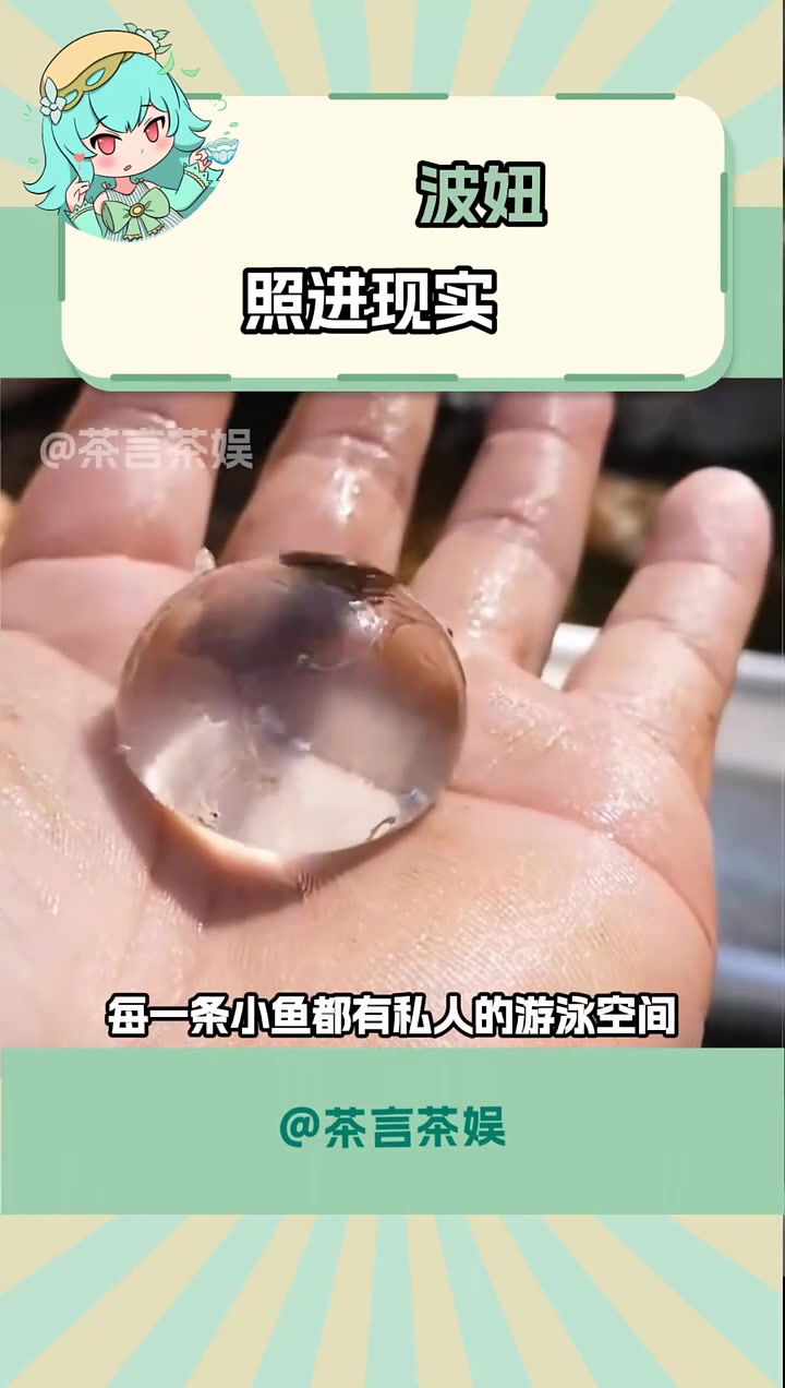 谁能拒绝这么可爱的娃娃鱼宝宝呢 娃娃鱼 波妞 可爱