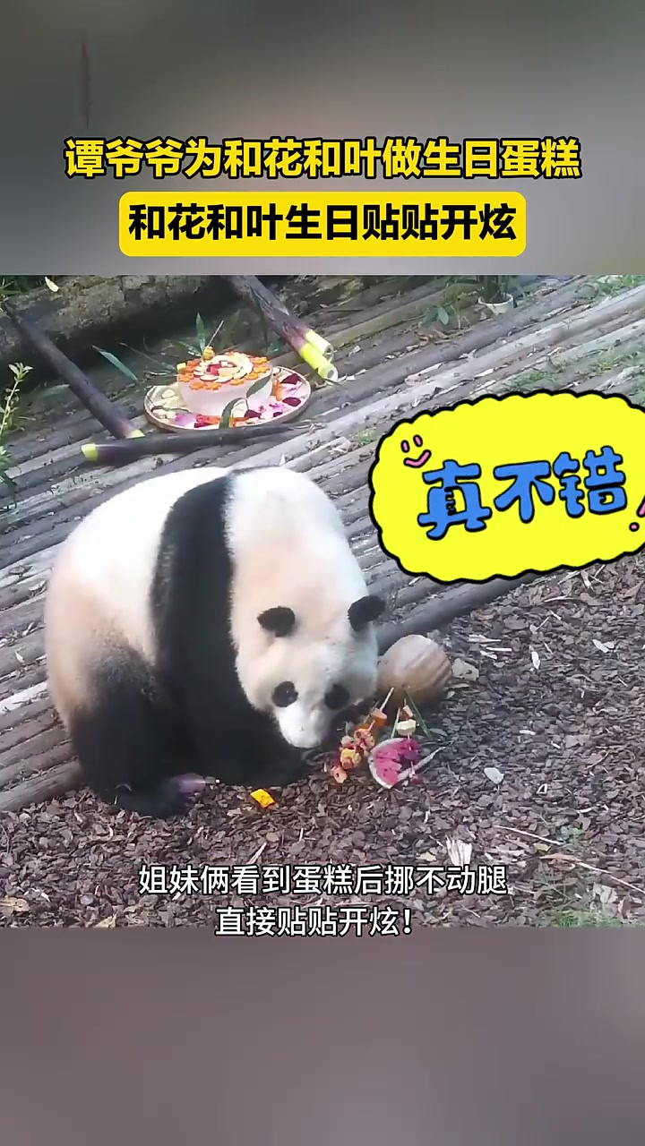 4岁啦!花花和叶生日贴贴开炫蛋糕