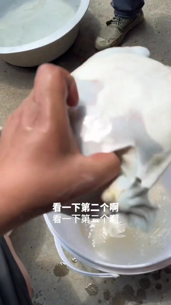 兄弟们,差的甲鱼一个都不收啊