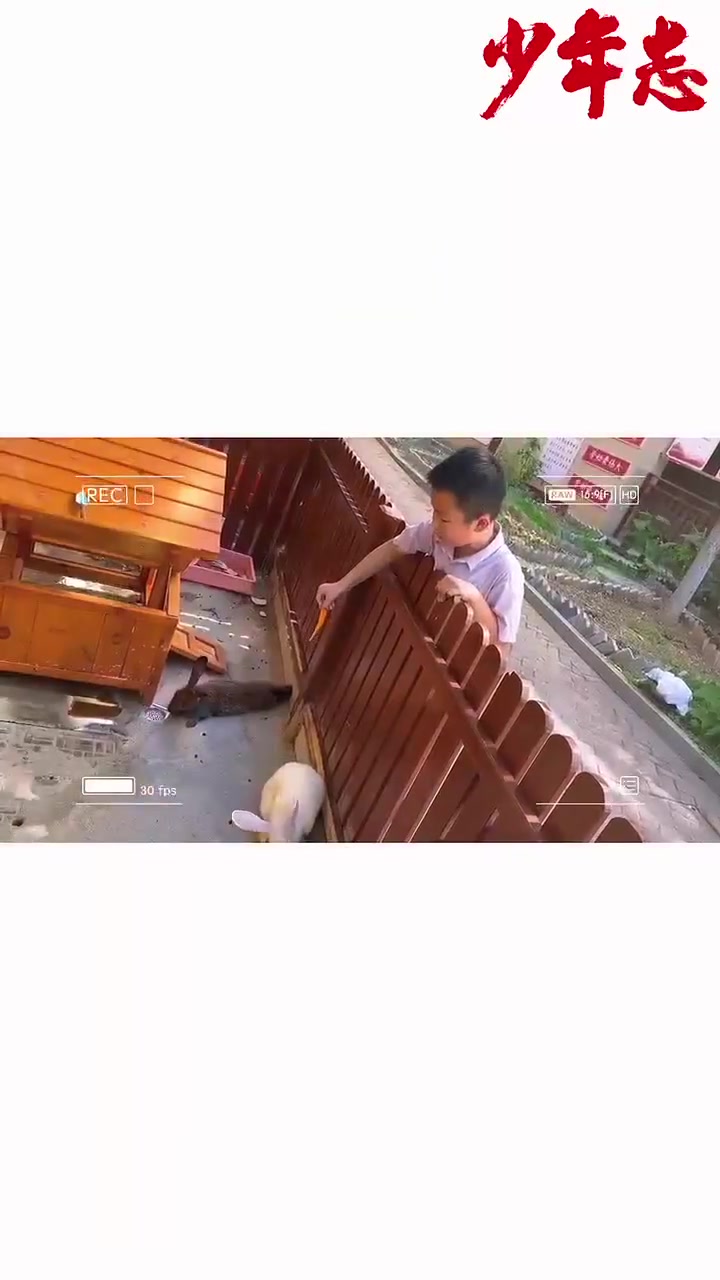 爱了爱了!这项暑假作业小朋友都抢着做