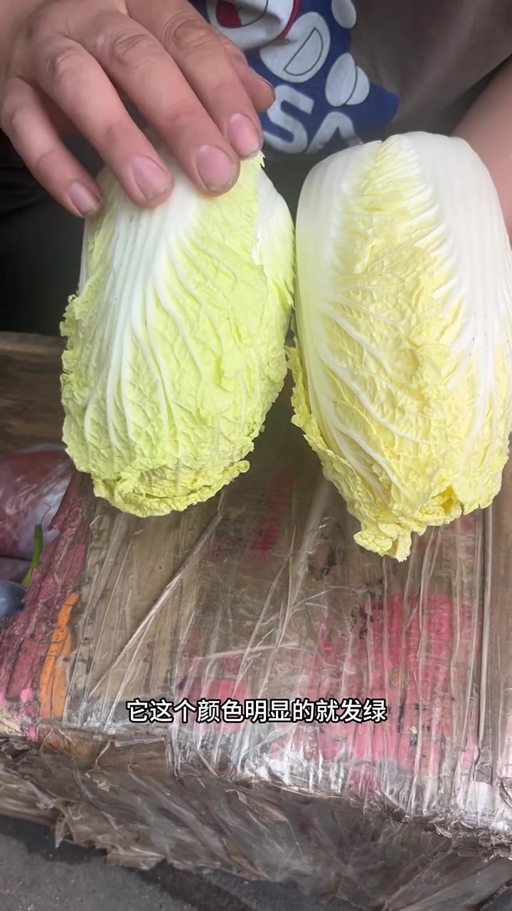 东北早市土豆哥揭秘:早市娃娃菜挑选大法,让你一次买到绿色健康的娃娃菜,娃娃菜怎么挑?娃娃菜