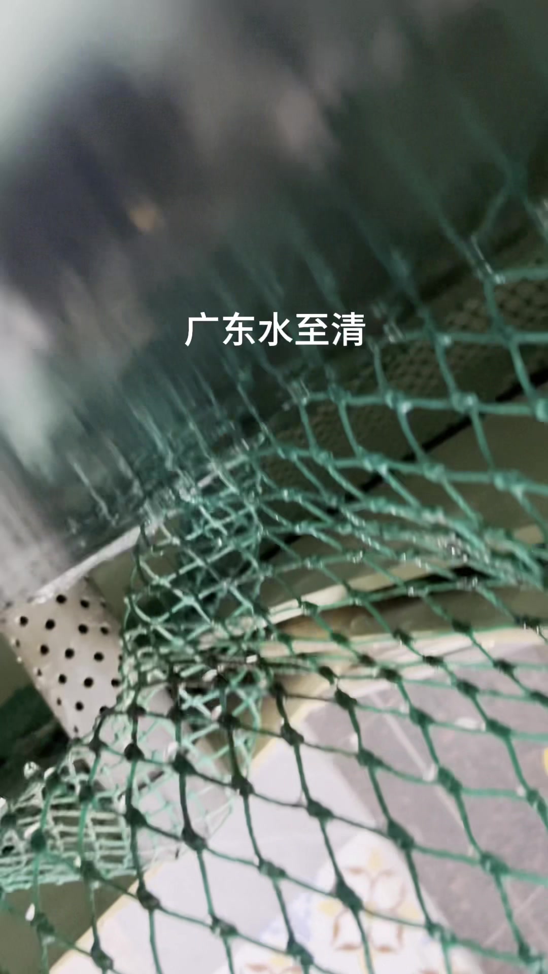 饭店款～吊水鱼池