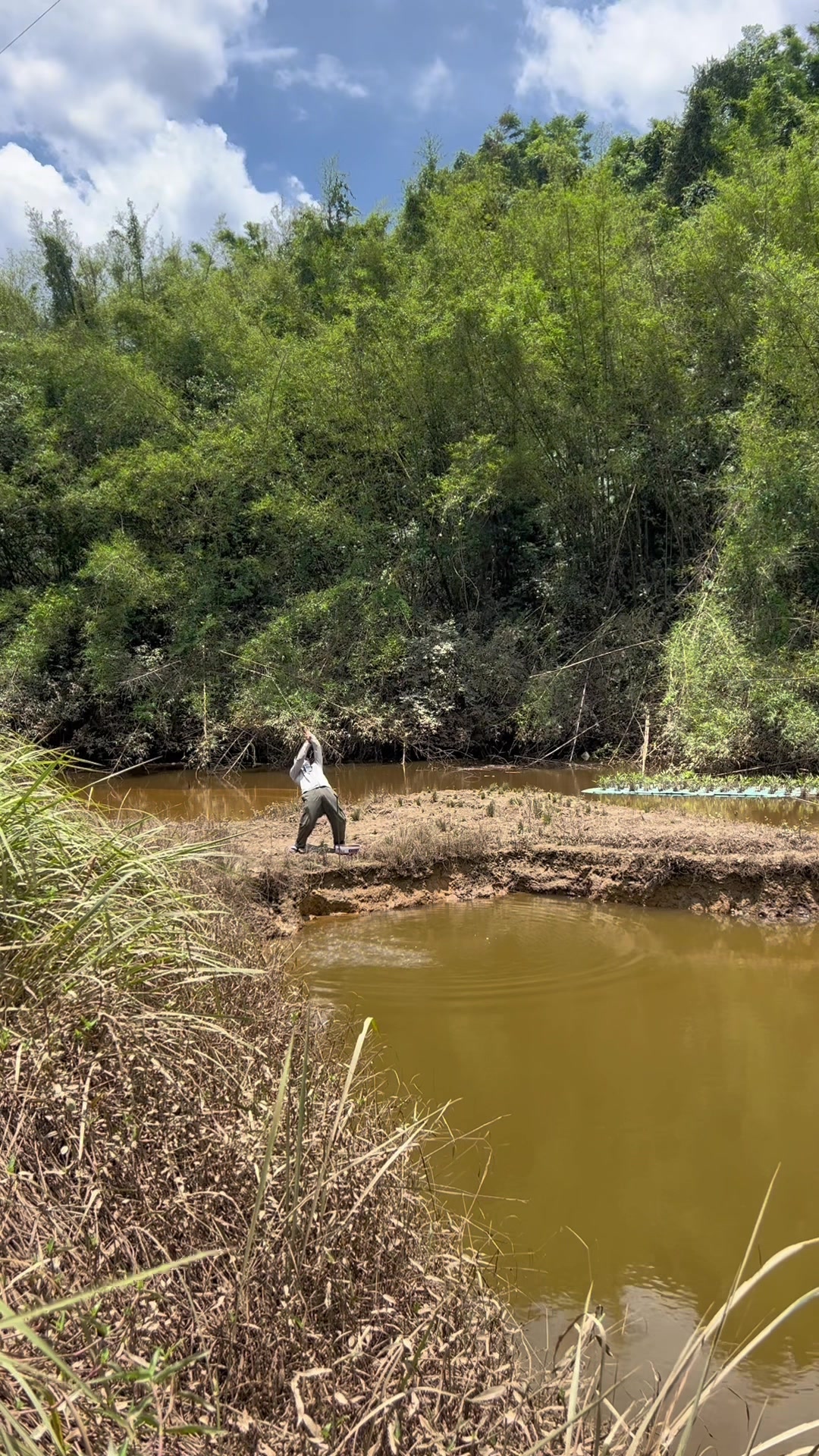 带上螺纹钢去黑坑盘龙头罗非