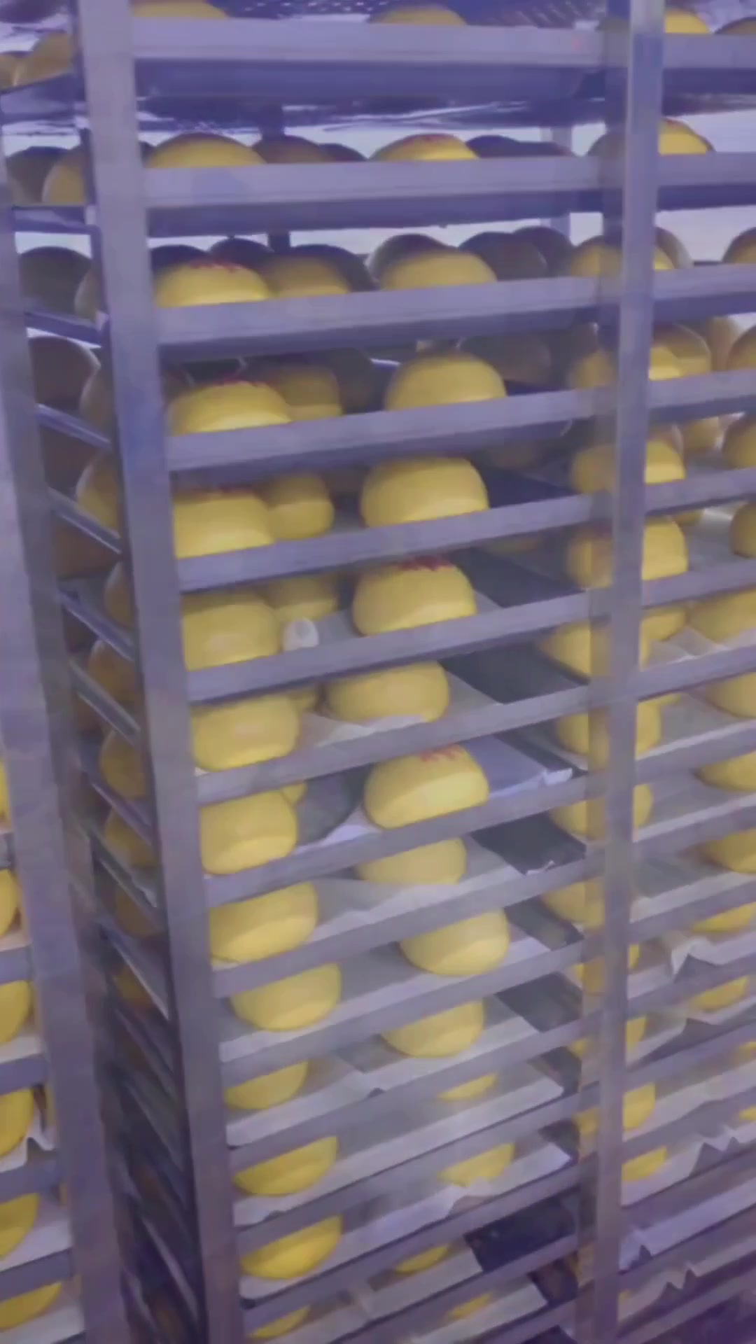 全自动商用馒头蒸房大型双单门全自动不锈钢醒蒸一体蒸箱食品蒸柜