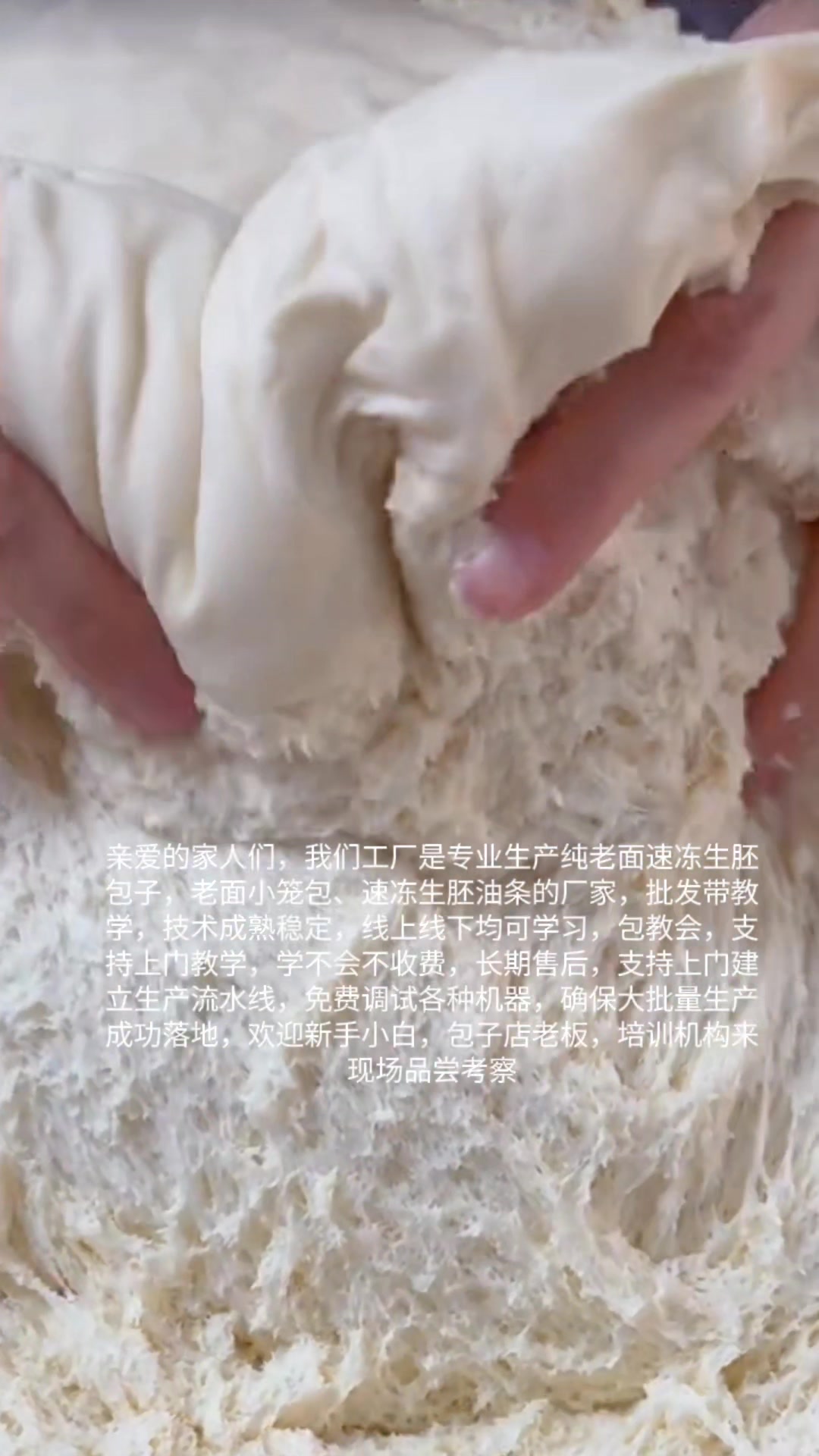 机器生产纯老面速冻生胚小笼包