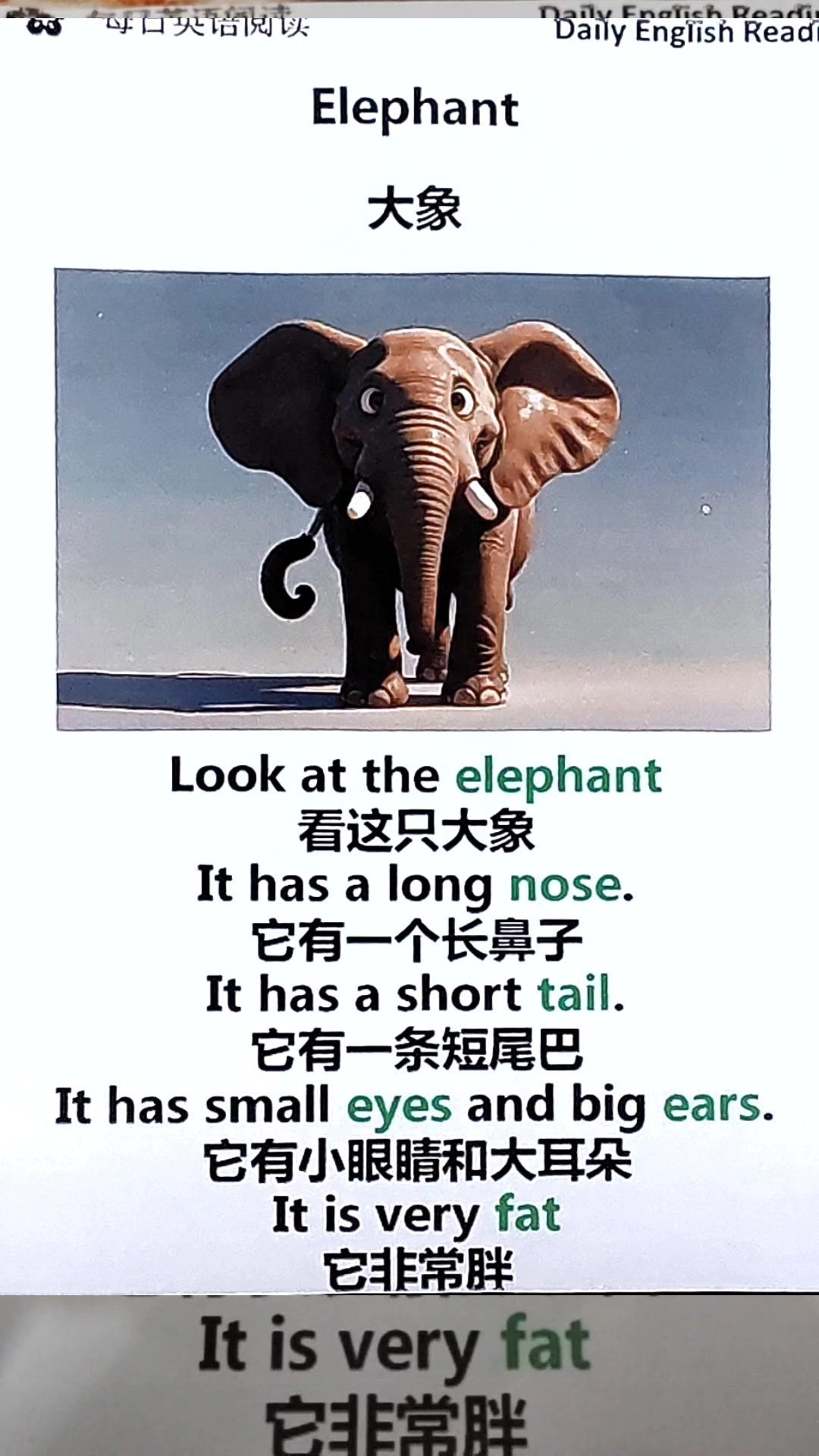 每日英语朗读,elephant