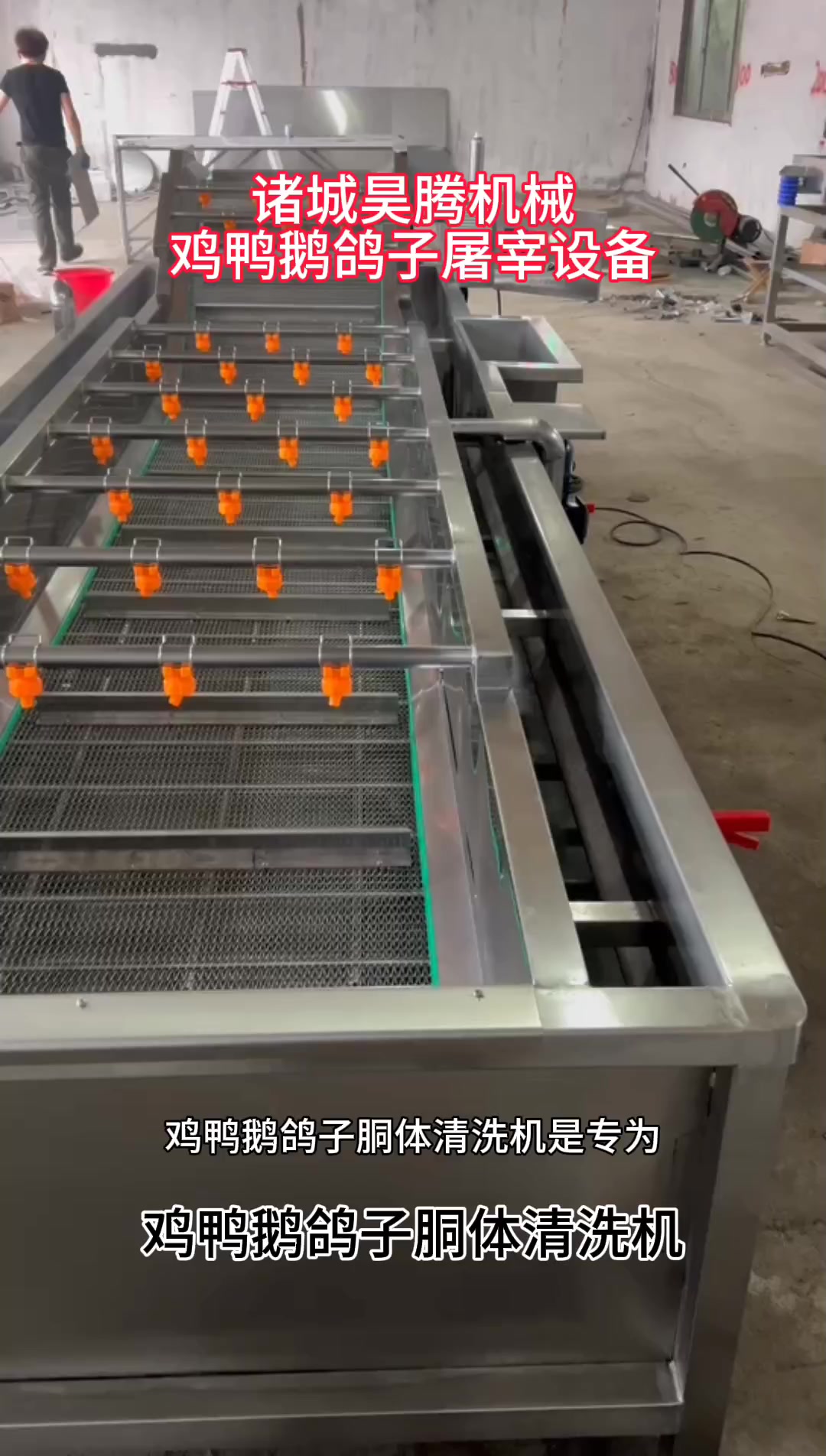 清洗机轻松解决鸡鸭鹅鸽子脱毛后体表内脏残留