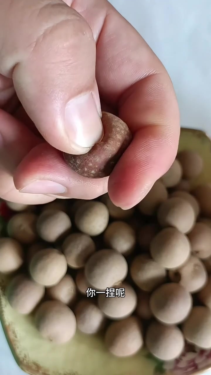 桂圆干怎么挑?东北早市土豆哥教你怎么挑选营养又健康的桂圆干!泰国桂圆干和福建桂圆干的区别!