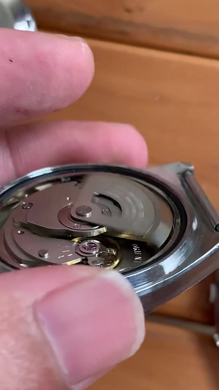 经典老双狮手表,便宜又好用的自动机械手表