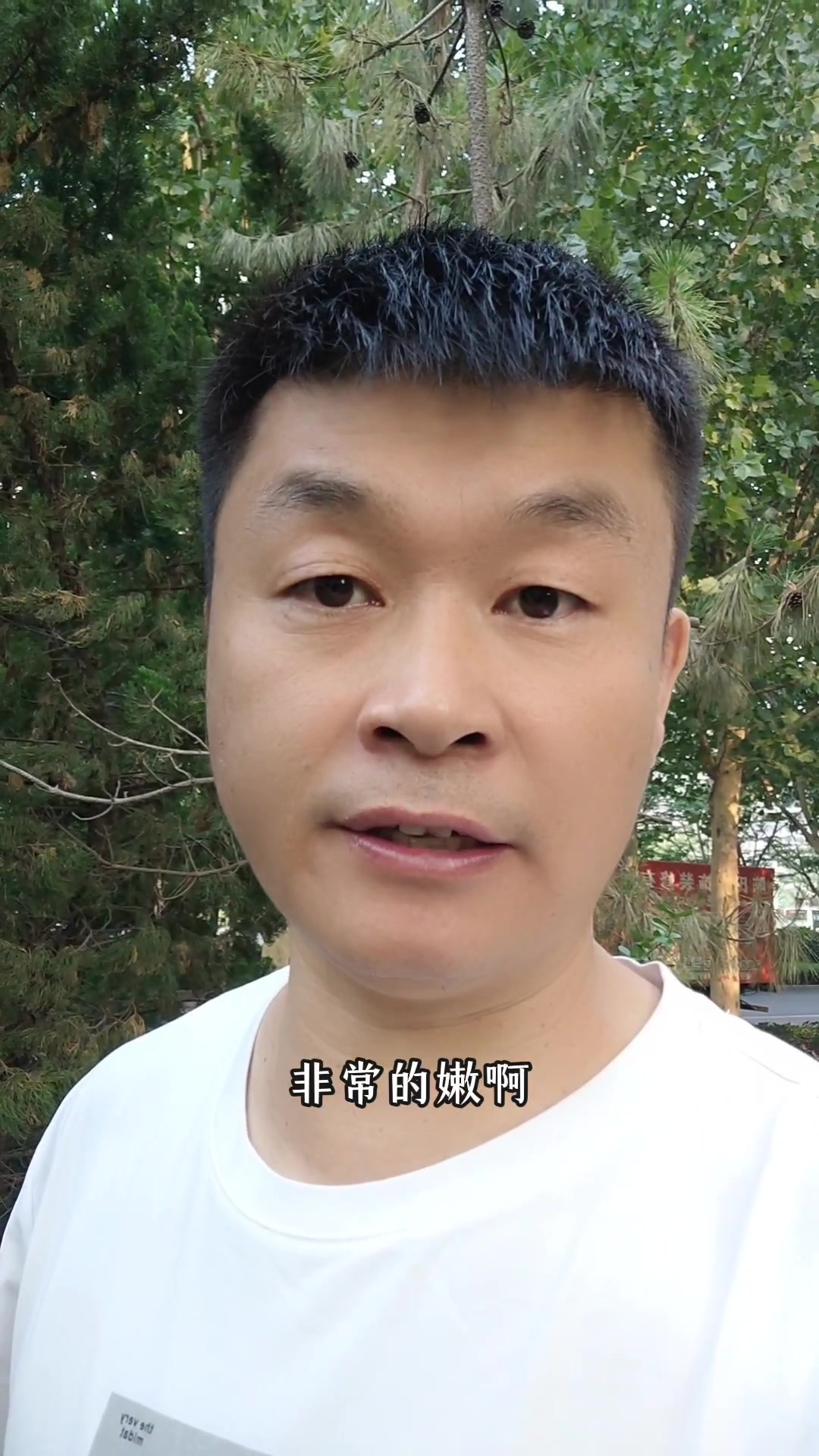 鸡苗是养好鸡的关键,教你快速挑选好鸡苗!
