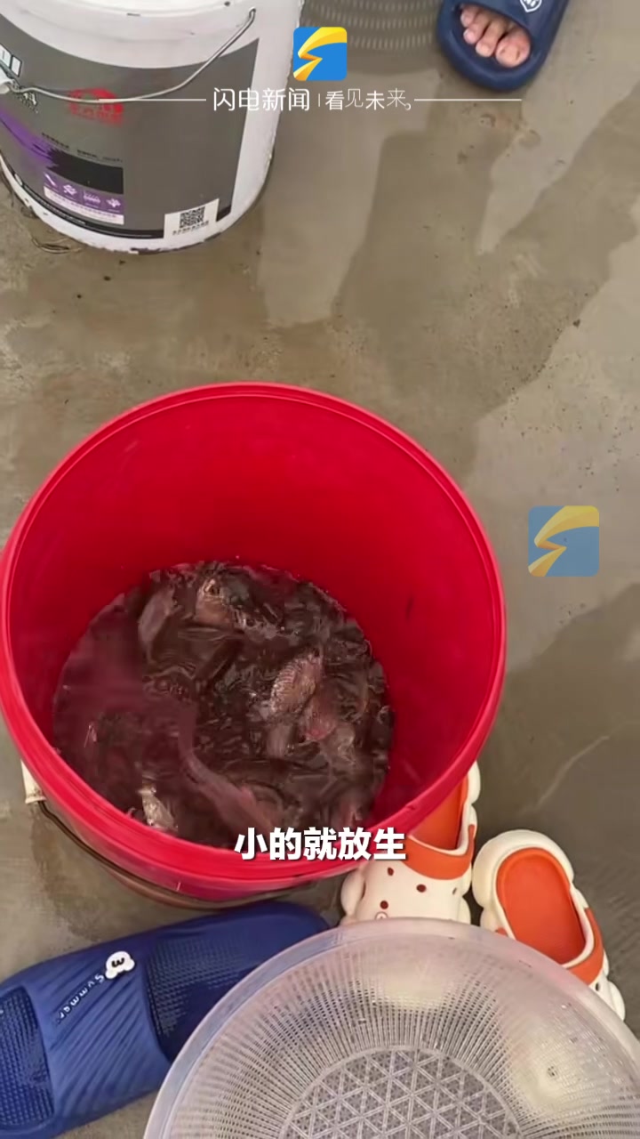 雨后河水漫出小朋友组团抓鱼 这才是暑假的正确打开方式