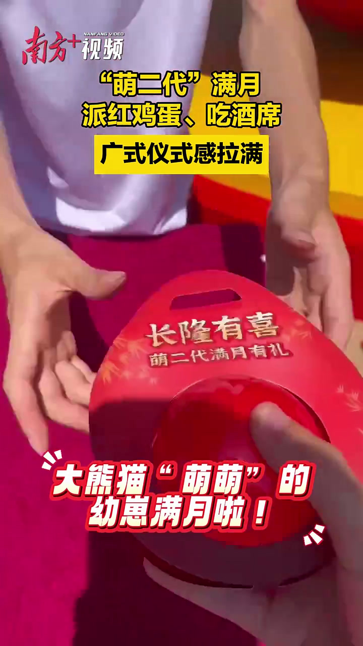 熊猫“萌二代”满月礼,究竟能有多“广东”?