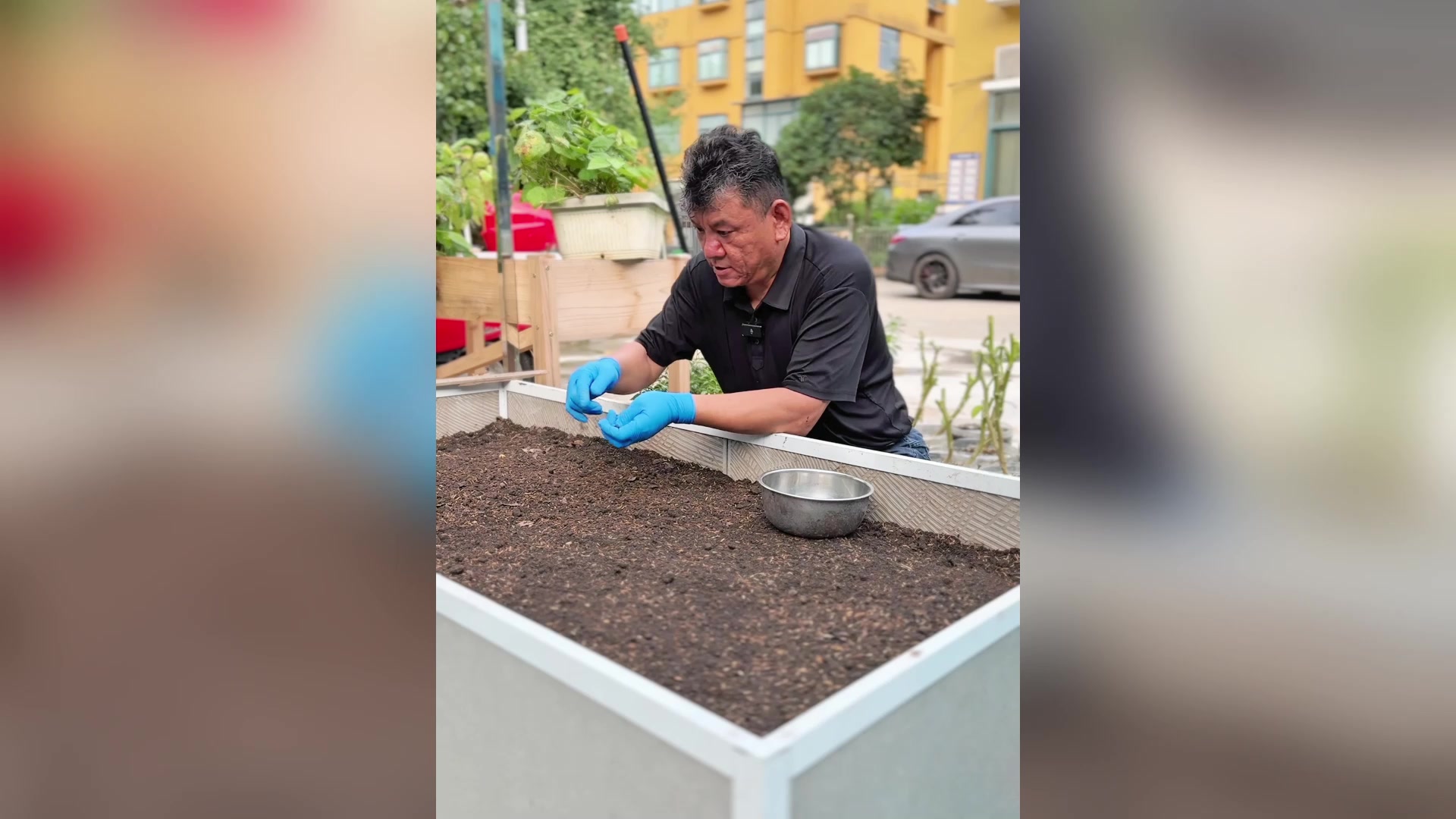 木匠爸爸家种植鸡毛菜啦!