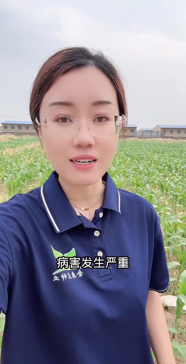 如何防治褐斑病