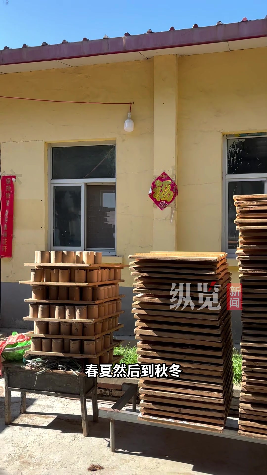 乡野寻宝记|蝈蝈虽小,却能鸣响致富大道