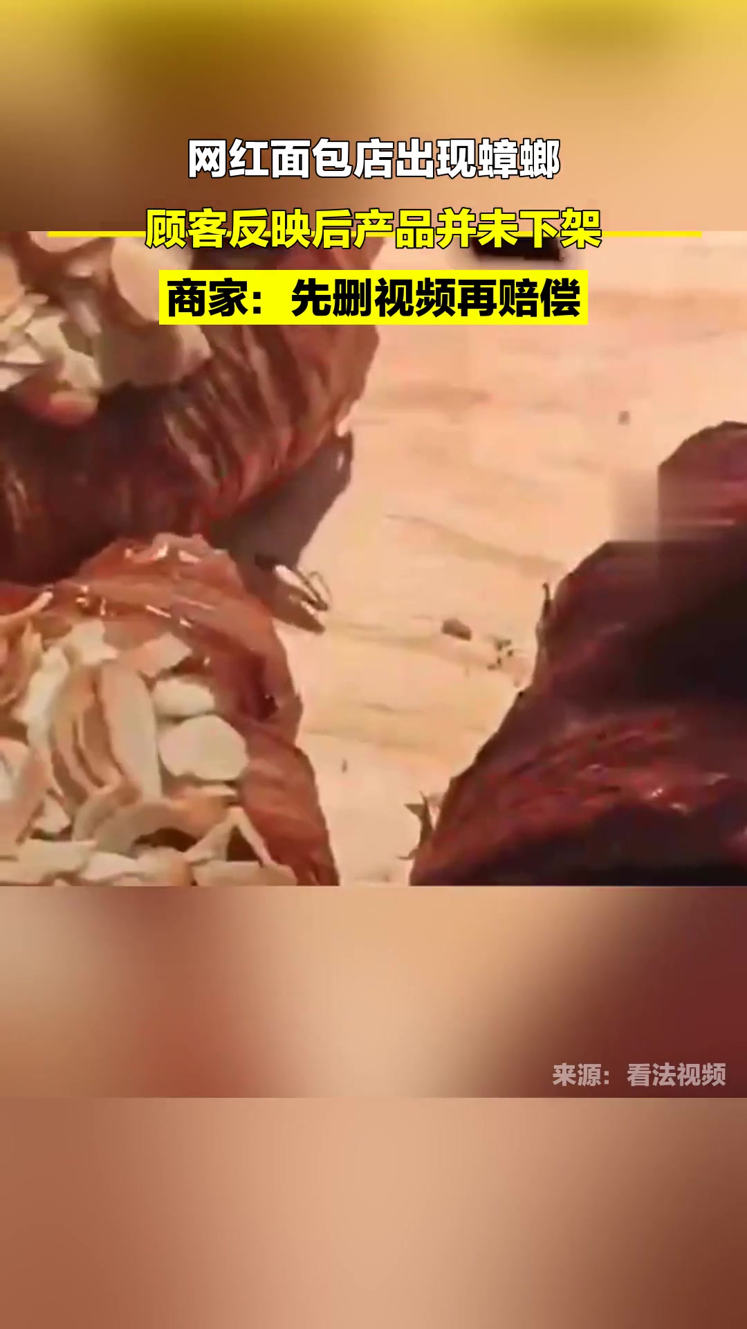 事发上海,网红面包店出现蟑螂,顾客反映后产品并未下架